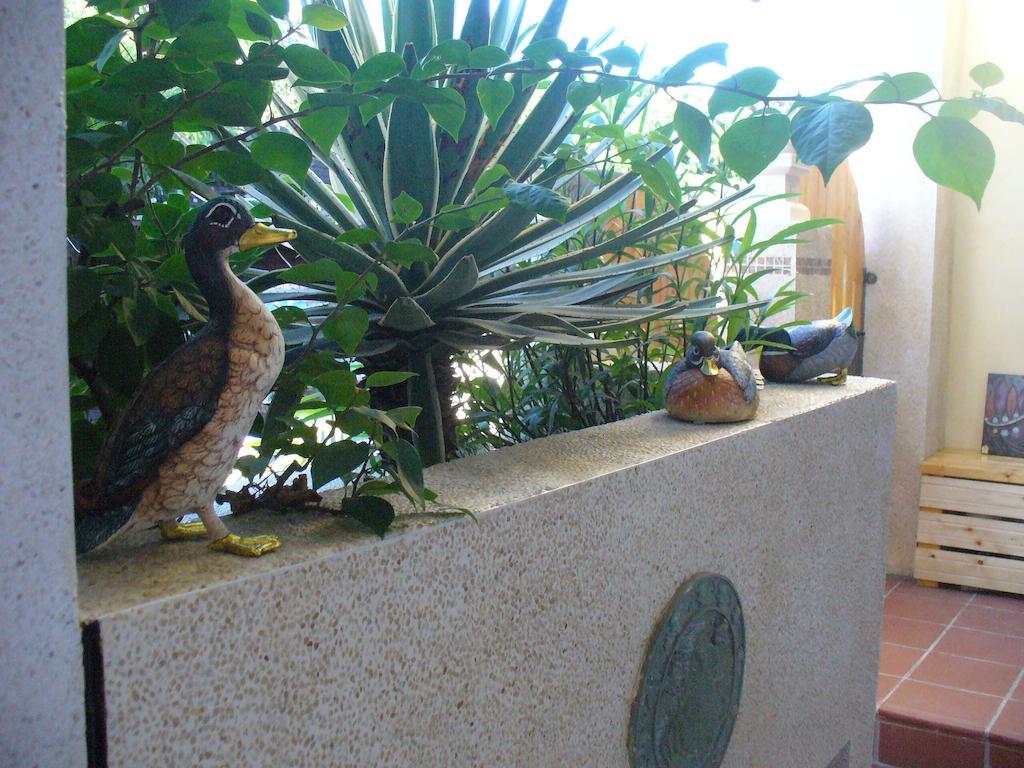 Bed and Breakfast Alongs Garden Heng-ch'un Exterior foto